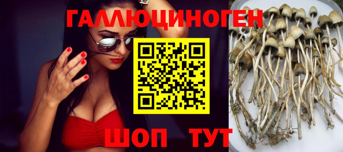 Галлюциногенные грибы прущие грибы  Галлюциногенные грибы прущие грибы  Вход с VPN  Кировск 
